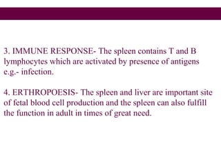 3. IMMUNE RESPONSE- The spleen contains T and B
lymphocytes which are activated by presence of antigens
e.g.- infection.
4. ERTHROPOESIS- The spleen and liver are important site
of fetal blood cell production and the spleen can also fulfill
the function in adult in times of great need.
 