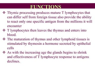 FUNCTIONS
 Thymic processing produces mature T lymphocytes that
can differ self from foreign tissue also provide the ability
to react only one specific antigen from the millions it will
encounter
 T lymphocytes then leaves the thymus and enters into
blood.
 The maturation of thymus and other lymphoid tissues is
stimulated by thymosin a hormone secreted by epithelial
cells
 As with the increasing age the glands begins to shrink
and effectiveness of T lymphocyte response to antigens
declines.
 