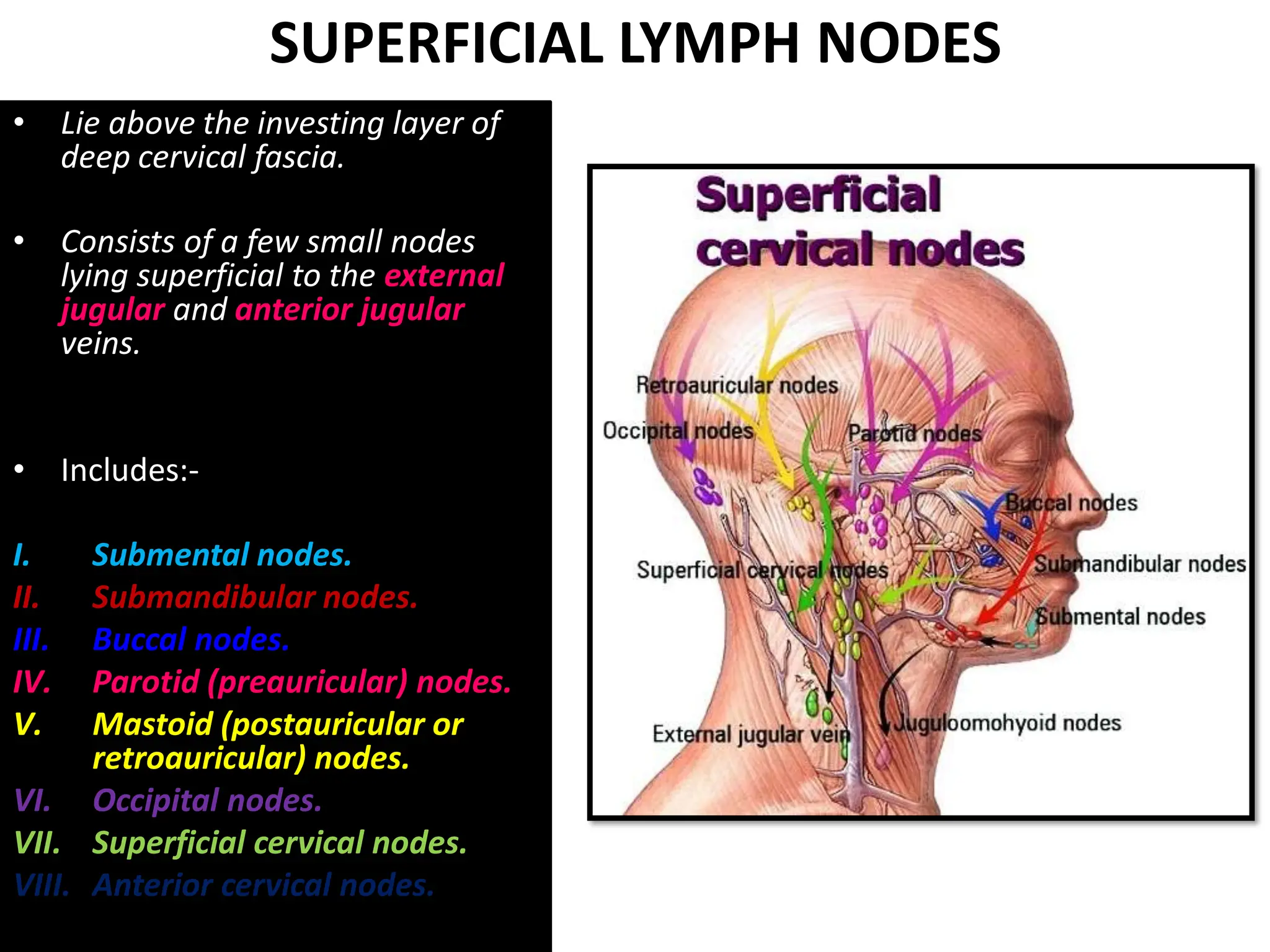 LYMPHATIC -DRAINAGE- OF -HEAD- NECK.pdf. | PDF | Thyroid Disorders ...