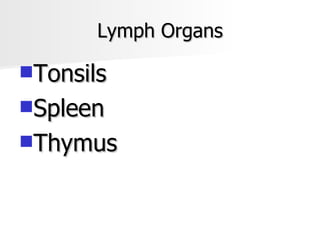 Lymph Organs Tonsils Spleen Thymus 