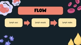 Lymphatic System Development Ppt Presentation Pdf