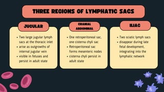 Lymphatic Sac Development lymphatic-system-development-ppt-presentation.pdf