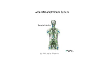 Lymphatic and Immune System
By Michelle Moore