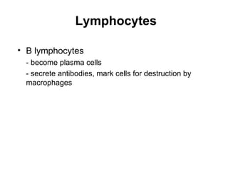 Lymphocytes

• B lymphocytes
 - become plasma cells
 - secrete antibodies, mark cells for destruction by
 macrophages
 