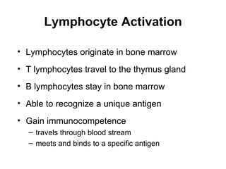 Lymphocyte Activation

• Lymphocytes originate in bone marrow
• T lymphocytes travel to the thymus gland
• B lymphocytes stay in bone marrow
• Able to recognize a unique antigen
• Gain immunocompetence
  – travels through blood stream
  – meets and binds to a specific antigen
 