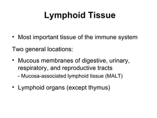 Lymphoid Tissue

• Most important tissue of the immune system

Two general locations:
• Mucous membranes of digestive, urinary,
  respiratory, and reproductive tracts
  - Mucosa-associated lymphoid tissue (MALT)

• Lymphoid organs (except thymus)
 