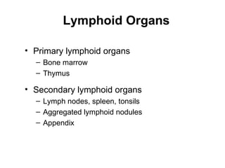 Lymphoid Organs

• Primary lymphoid organs
  – Bone marrow
  – Thymus

• Secondary lymphoid organs
  – Lymph nodes, spleen, tonsils
  – Aggregated lymphoid nodules
  – Appendix
 