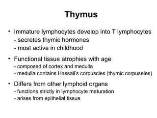 Thymus
• Immature lymphocytes develop into T lymphocytes
  - secretes thymic hormones
  - most active in childhood
• Functional tissue atrophies with age
  - composed of cortex and medulla
  - medulla contains Hassall’s corpuscles (thymic corpuseles)

• Differs from other lymphoid organs
  - functions strictly in lymphocyte maturation
  - arises from epithelial tissue
 