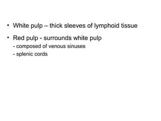 • White pulp – thick sleeves of lymphoid tissue
• Red pulp - surrounds white pulp
  - composed of venous sinuses
  - splenic cords
 