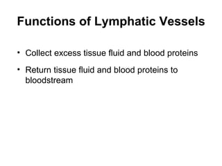 Functions of Lymphatic Vessels

• Collect excess tissue fluid and blood proteins
• Return tissue fluid and blood proteins to
  bloodstream
 