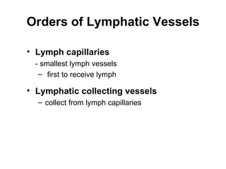 Orders of Lymphatic Vessels

• Lymph capillaries
 - smallest lymph vessels
  – first to receive lymph

• Lymphatic collecting vessels
  – collect from lymph capillaries
 