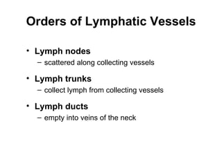 Orders of Lymphatic Vessels

• Lymph nodes
  – scattered along collecting vessels

• Lymph trunks
  – collect lymph from collecting vessels

• Lymph ducts
  – empty into veins of the neck
 