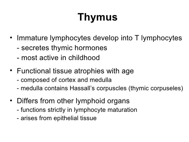 Lymphatic And Immune System Lymphatic And Immune System