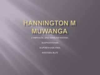 HANNINGTON M MUWANGA LYMPHATIC AND IMMUNE SYSTEM ; ELEPHANTIASIS KAPOSI’S SARCOMA WESTERN BLOT 