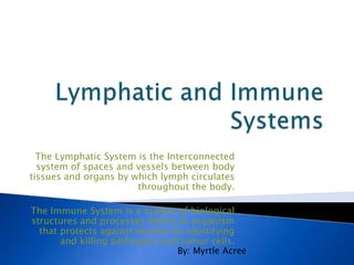 Lymphatic and Immune Systems The Lymphatic System is the Interconnected system of spaces and vessels between body tissues and organs by which lymph circulates throughout the body. The Immune System is a system of biological structures and processes within an organism that protects against disease by identifying and killing pathogens and tumor cells. By: Myrtle Acree 