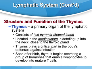 Lymphatic System (Cont’d)
Structure and Function of the Thymus

– Thymus – a primary organ of the lymphatic
system
• Consists of two pyramid-shaped lobes
• Located in the mediastinum, extending up into
the neck, close to the thyroid gland
• Thymus plays a critical part in the body’s
defenses against infection
• Soon after birth, thymus begins secreting a
group of hormones that enable lymphocytes to
develop into mature T cells

 