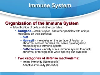 Immune System
Organization of the Immune System

– Identification of cells and other particles:
• Antigens – cells, viruses, and other particles with unique
molecules on their surfaces
– Self
– Non-self – molecules on the surface of foreign or
abnormal cells or particles that serve as recognition
markers by our immune system
– Self-tolerance – ability of our immune system to attack
abnormal or foreign cells while sparing our own cells

• Two categories of defense mechanisms:
– Innate immunity (Nonspecific)
– Adaptive immunity (Specific)

 