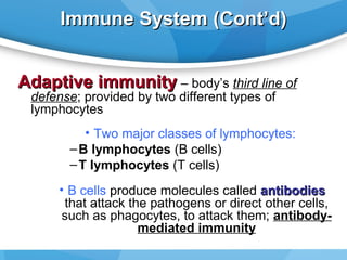 Immune System (Cont’d)
Adaptive immunity – body’s third line of
defense; provided by two different types of
lymphocytes

• Two major classes of lymphocytes:
– B lymphocytes (B cells)
– T lymphocytes (T cells)
• B cells produce molecules called antibodies
that attack the pathogens or direct other cells,
such as phagocytes, to attack them; antibodymediated immunity

 