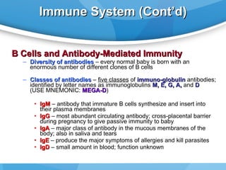 Immune System (Cont’d)
B Cells and Antibody-Mediated Immunity

– Diversity of antibodies – every normal baby is born with an
enormous number of different clones of B cells
– Classes of antibodies – five classes of immuno-globulin antibodies;
identified by letter names as immunoglobulins M, E, G, A, and D
(USE MNEMONIC: MEGA-D)
MEGA-D
• IgM – antibody that immature B cells synthesize and insert into
their plasma membranes
• IgG – most abundant circulating antibody; cross-placental barrier
during pregnancy to give passive immunity to baby
• IgA – major class of antibody in the mucous membranes of the
body; also in saliva and tears
• IgE – produce the major symptoms of allergies and kill parasites
• IgD – small amount in blood; function unknown

 