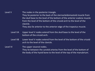 Level Vb Node Lymphatic drainage | PPT