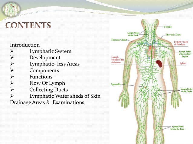 Lymphatic Drainage of whole Body by Faisal Azmi