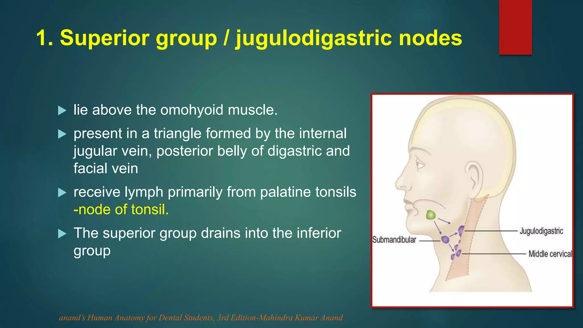Lymphatic Drainage Of Head And Neck PPTX Lymphatic Drainage Of Head And Neck PPTX
