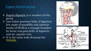 Lymphatic drainage of head and neck and its | PPTX