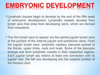 Lymphatic Sac Development Lymphatic drainage of head and neck by DR. C.P. ARYA ( B.Sc. ;B.D.S. ;M ...
