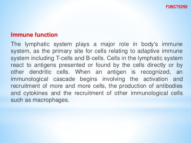 lymphatic drainage of head and neck by dr cp arya bsc bds mds pms rntcp 14 638