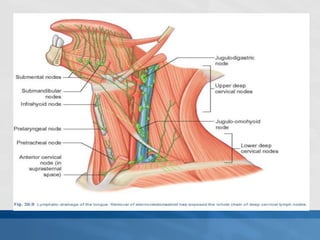 PALPATION OF LYMPH NODES –
Lymph node and chain palpation starts with the parotid and
preauricular area which may also be ...