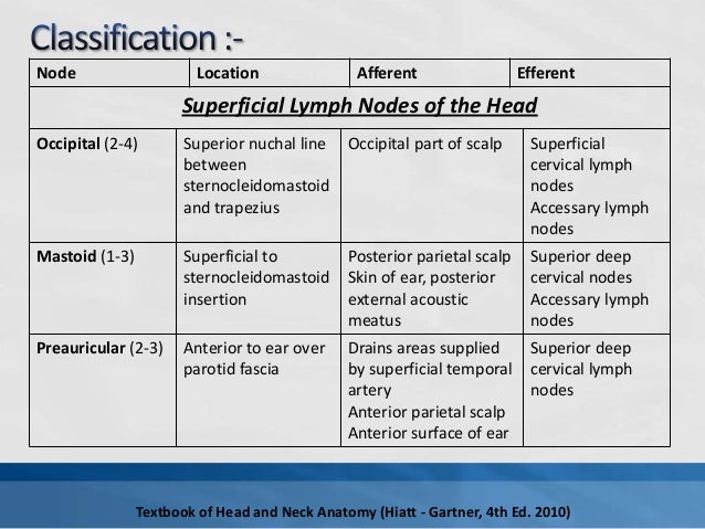 Lymphatic drainage of head & neck
