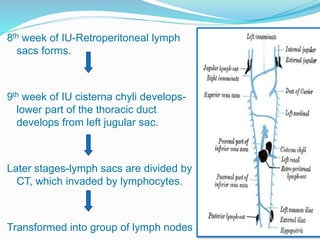 Lymphatic Sac Development Lymphatic drainage of head & neck | PPTX