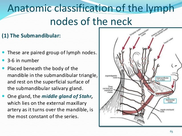Lymphatic drainage of head & neck