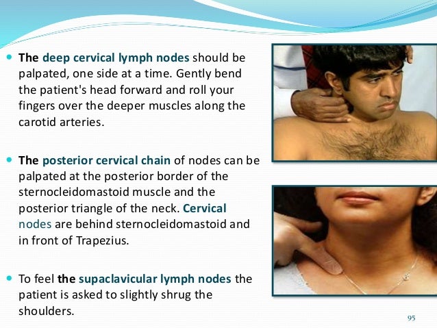 Lymphatic drainage of head & neck