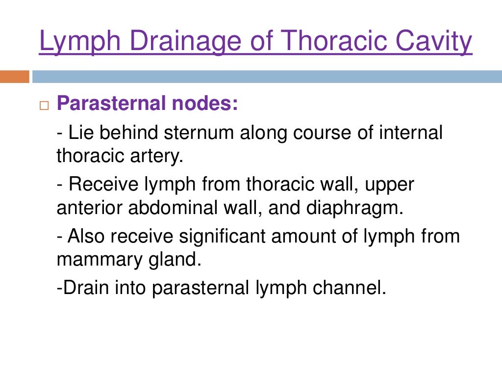 Lymphatic drainage of major organs