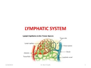 LYMPHATIC SYSTEM

11/10/2013

Dr. Abir El Sadik

1

 
