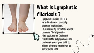 Lymphatic Filariasis (LF) is a
parasitic disease, commonly
known as elephantiasis.
• It is caused by thread like worms
known as filarial parasite.
• The adult worms (male and
female) settle in lymph nodes and
the female worm gives birth to
millions of young ones known as
microfilariae (mf)
What is Lymphatic
filariasis ?
 