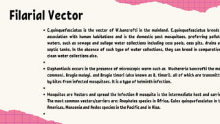 Filarial Vector
C.quinquefasciatus is the vector of W.bancrofti in the mainland. C.quinquefasciatus breeds
association with human habitations and is the domestic pest mosquitoes, preferring pollut
waters, such as sewage and sullage water collections including cess pools, cess pits, drains a
septic tanks. In the absence of such type of water collections, they can breed in comparative
clean water collections also.
Elephantiasis occurs in the presence of microscopic worm such as Wuchereria bancrofti the mo
common), Brugia malayi, and Brugia timori (also known as B. timori), all of which are transmitt
by bites from infected mosquitoes. It is a type of helminth infection.
Mosquitos are Vectors and spread the Infection A mosquito is the intermediate host and carrie
The most common vectors/carriers are: Anopheles species in Africa, Culex quinquefasciatus in t
Americas, Mansonia and Aedes species in the Pacific and in Aisa.
 
