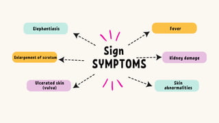 Sign
SYMPTOMS
Enlargement of scrotum
Elephantiasis
Ulcerated skin
(vulva)
Kidney damage
Fever
Skin
abnormalities
 