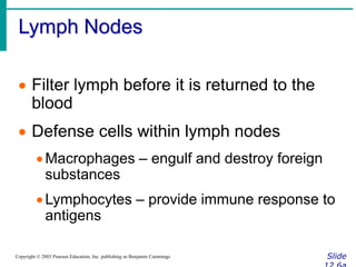 Lymph Nodes
Slide
Copyright © 2003 Pearson Education, Inc. publishing as Benjamin Cummings
 Filter lymph before it is returned to the
blood
 Defense cells within lymph nodes
Macrophages – engulf and destroy foreign
substances
Lymphocytes – provide immune response to
antigens
 