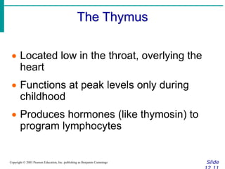 The Thymus
Slide
Copyright © 2003 Pearson Education, Inc. publishing as Benjamin Cummings
 Located low in the throat, overlying the
heart
 Functions at peak levels only during
childhood
 Produces hormones (like thymosin) to
program lymphocytes
 
