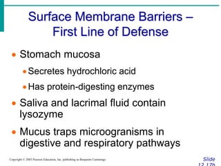Surface Membrane Barriers –
First Line of Defense
Slide
Copyright © 2003 Pearson Education, Inc. publishing as Benjamin Cummings
 Stomach mucosa
Secretes hydrochloric acid
Has protein-digesting enzymes
 Saliva and lacrimal fluid contain
lysozyme
 Mucus traps microogranisms in
digestive and respiratory pathways
 
