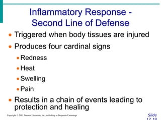 Inflammatory Response -
Second Line of Defense
Slide
Copyright © 2003 Pearson Education, Inc. publishing as Benjamin Cummings
 Triggered when body tissues are injured
 Produces four cardinal signs
Redness
Heat
Swelling
Pain
 Results in a chain of events leading to
protection and healing
 