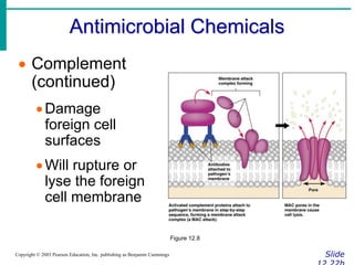 Antimicrobial Chemicals
Slide
Copyright © 2003 Pearson Education, Inc. publishing as Benjamin Cummings
 Complement
(continued)
Damage
foreign cell
surfaces
Will rupture or
lyse the foreign
cell membrane
Figure 12.8
 