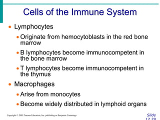 Cells of the Immune System
Slide
Copyright © 2003 Pearson Education, Inc. publishing as Benjamin Cummings
 Lymphocytes
 Originate from hemocytoblasts in the red bone
marrow
 B lymphocytes become immunocompetent in
the bone marrow
 T lymphocytes become immunocompetent in
the thymus
 Macrophages
 Arise from monocytes
 Become widely distributed in lymphoid organs
 