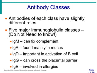 Antibody Classes
Slide
Copyright © 2003 Pearson Education, Inc. publishing as Benjamin Cummings
 Antibodies of each class have slightly
different roles
 Five major immunoglobulin classes –
(Do Not Need to know!)
IgM – can fix complement
IgA – found mainly in mucus
IgD – important in activation of B cell
IgG – can cross the placental barrier
IgE – involved in allergies
 