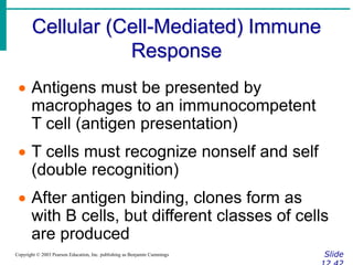 Cellular (Cell-Mediated) Immune
Response
Slide
Copyright © 2003 Pearson Education, Inc. publishing as Benjamin Cummings
 Antigens must be presented by
macrophages to an immunocompetent
T cell (antigen presentation)
 T cells must recognize nonself and self
(double recognition)
 After antigen binding, clones form as
with B cells, but different classes of cells
are produced
 