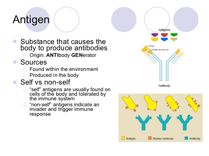 Lymphatic and Immune System Terms