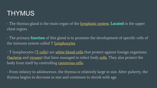 Lymphatic immune system Slide 19