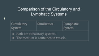 Lymphatic immune system Slide 24